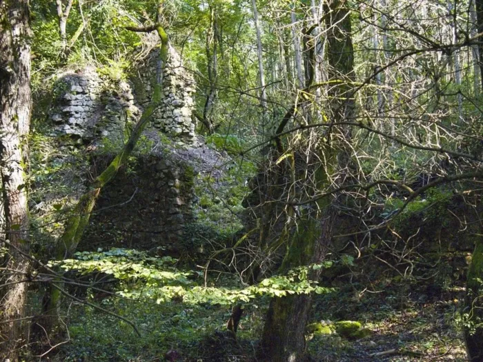 Master file0000039088