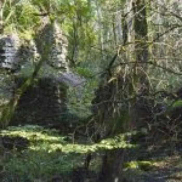 Master file0000039444