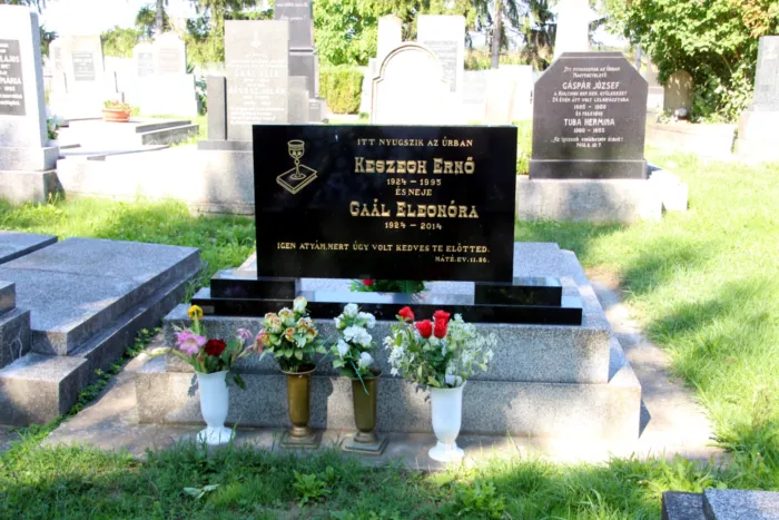 Master file0000069821