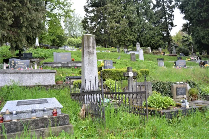 Master file0000065434