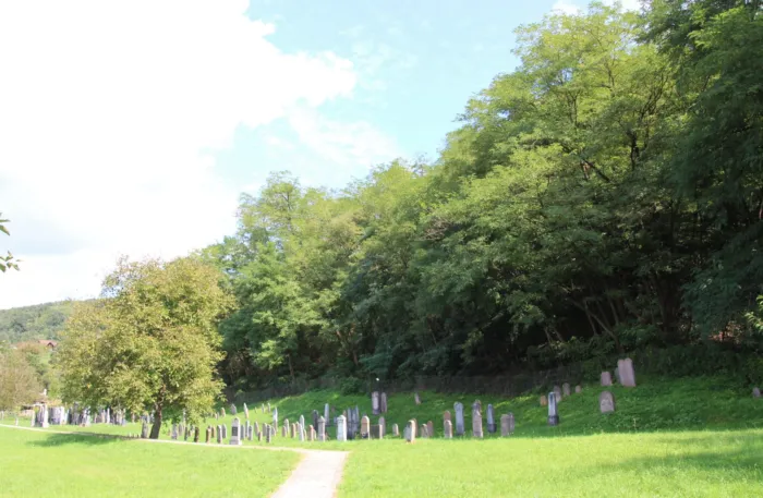 Master file0000077378