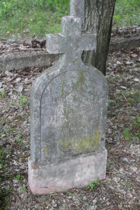 Master file0000078887