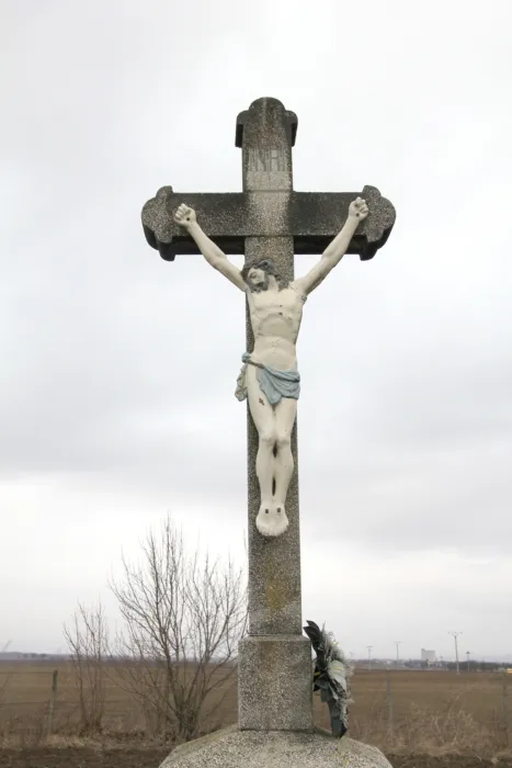 Master file0000076232