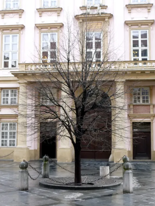 Master file0000079218