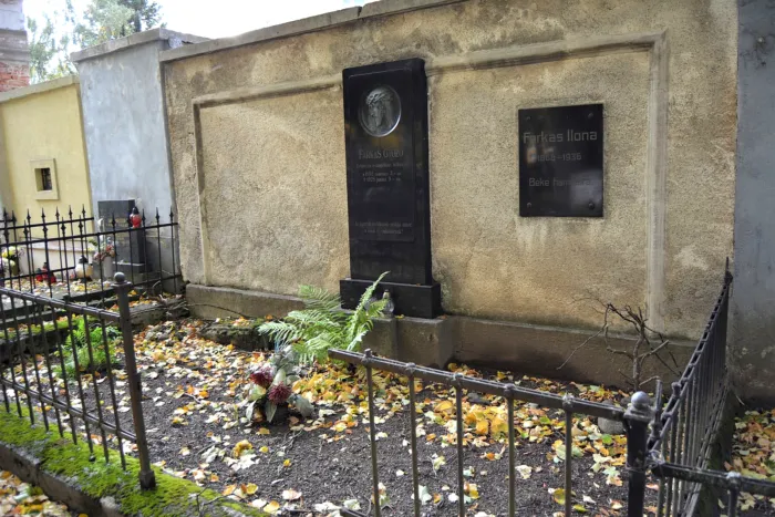 Master file0000060073