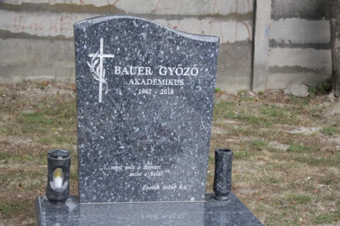 Master file0000073723