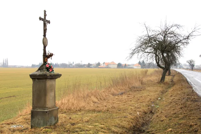 Master file0000079396