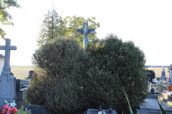 Master file0000078799