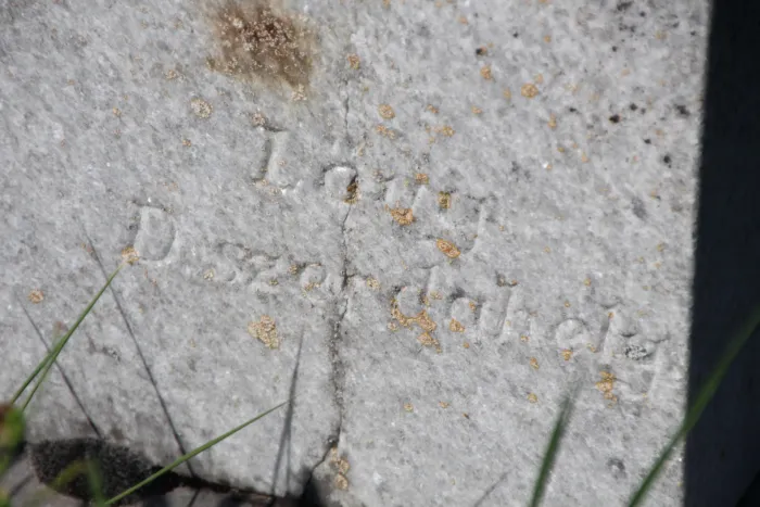 Master file0000078384