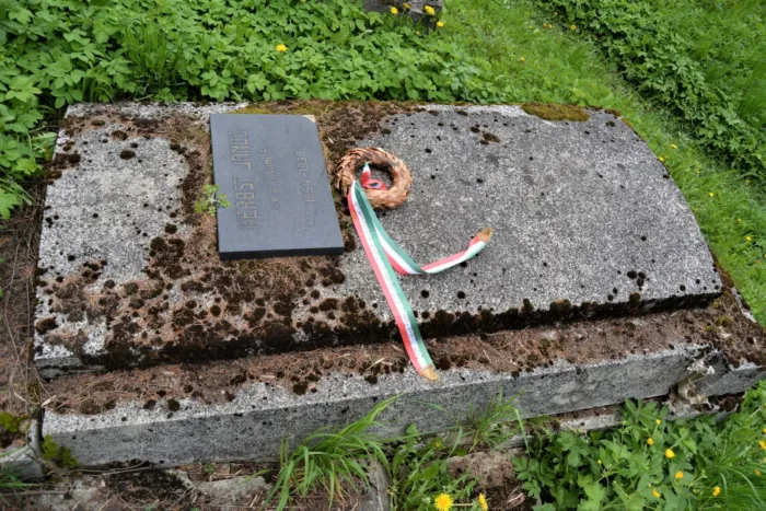 Master file0000069350