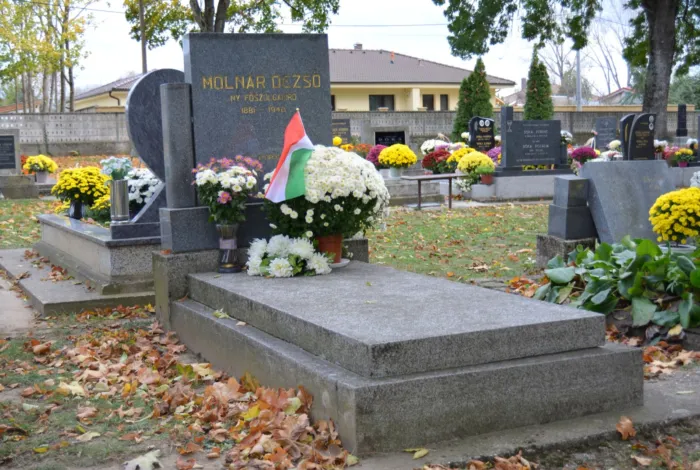 Master file0000074495