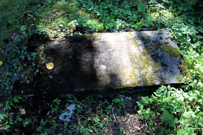 Master file0000066494