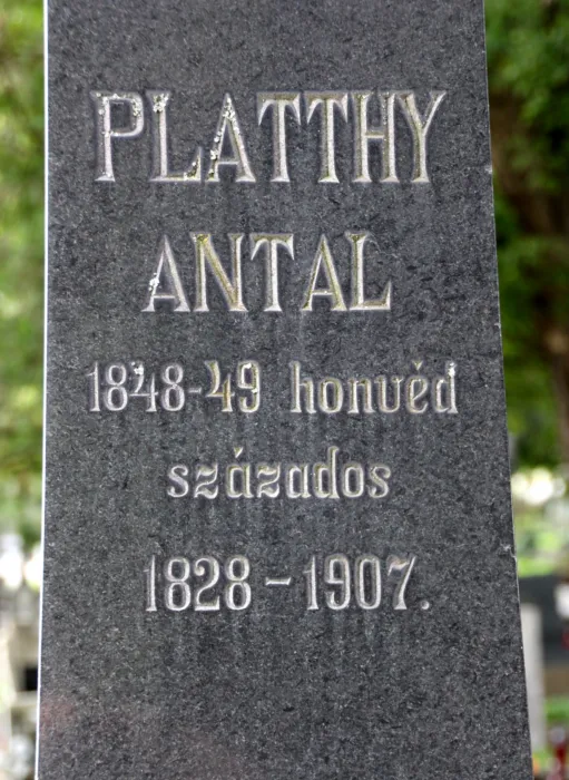 Master file0000079372