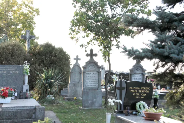 Master file0000064310