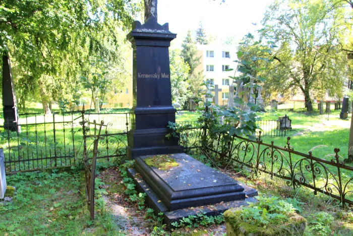 Master file0000063996