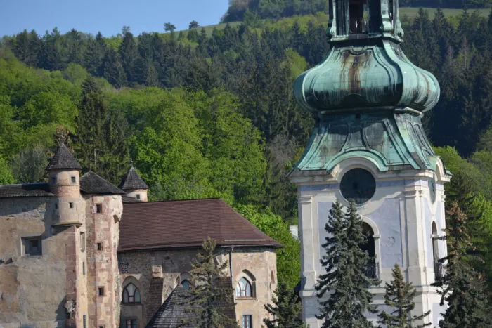 Master file0000076739