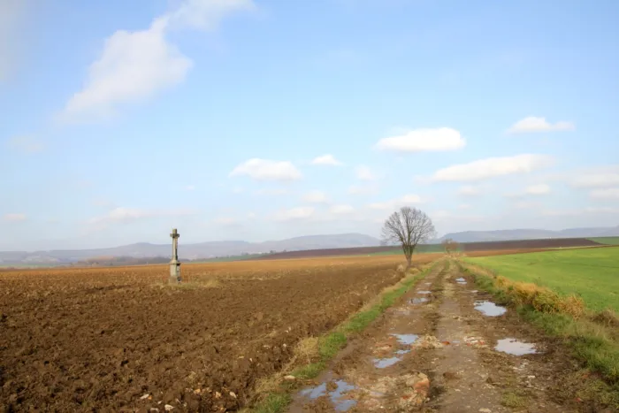 Master file0000072627