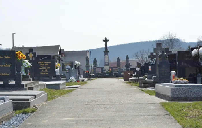 Master file0000069319