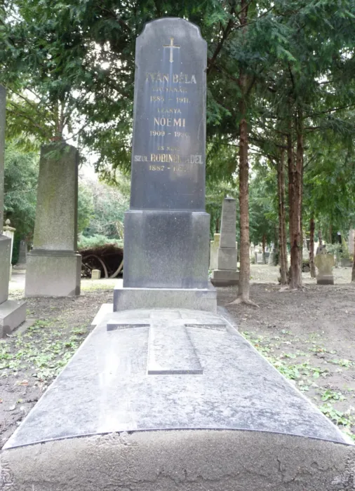 Master file0000080220