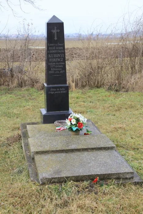 Master file0000079019