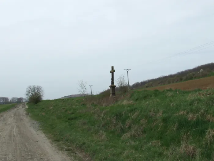 Master file0000077212