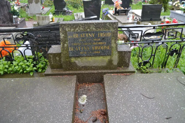 Master file0000067321