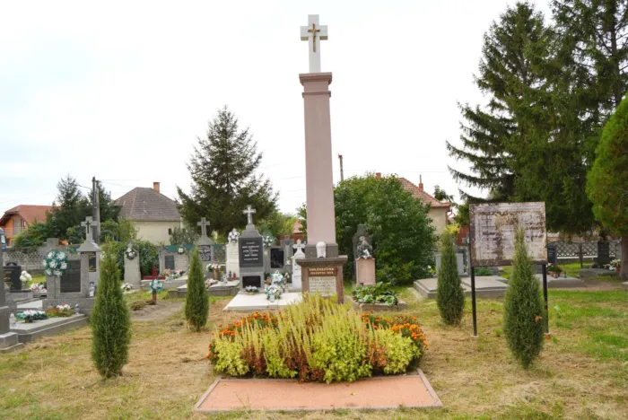 Master file0000074010