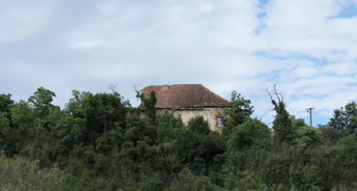 Master file0000039929