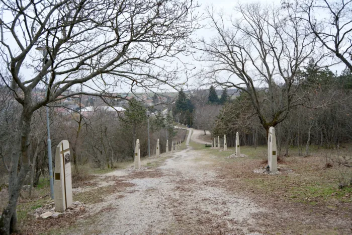 Master file0000076484