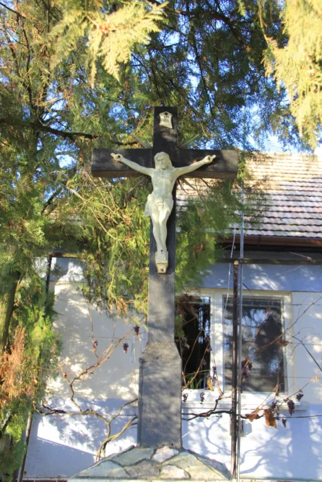 Master file0000078411