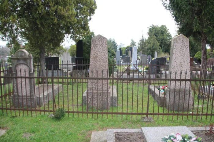 Master file0000067796