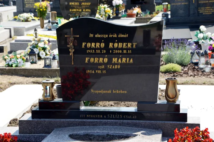 Master file0000061498