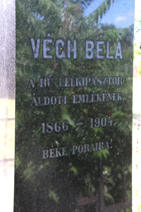 Master file0000063818