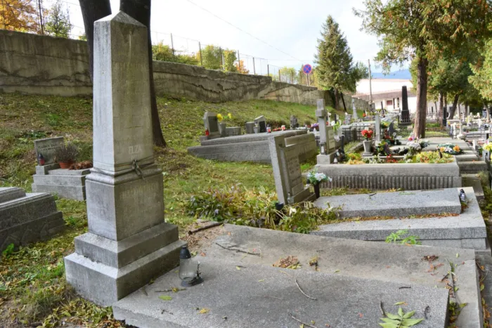 Master file0000061449