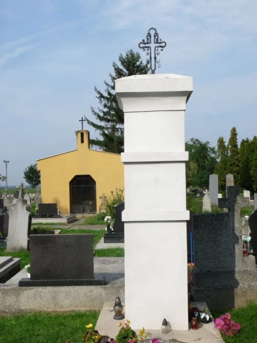 Master file0000076048