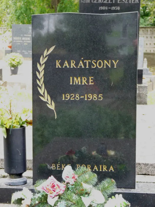 Master file0000063532