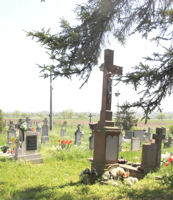 Master file0000076829