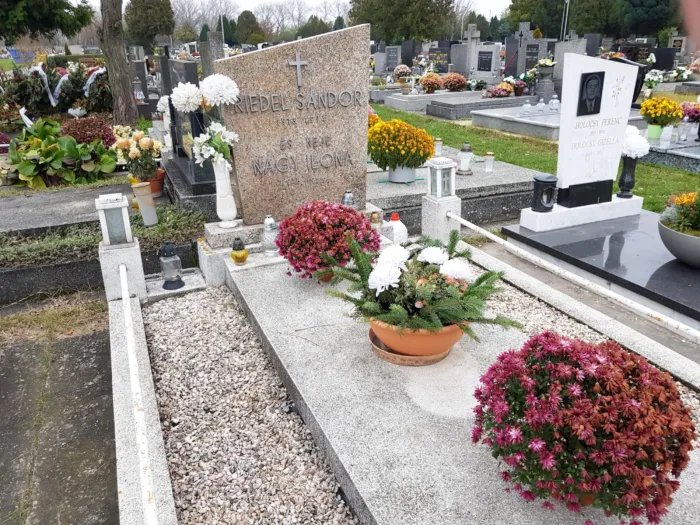 Master file0000063236