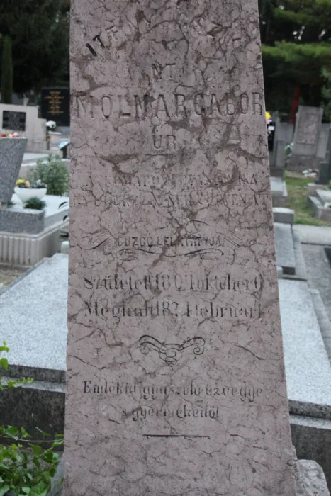 Master file0000073012