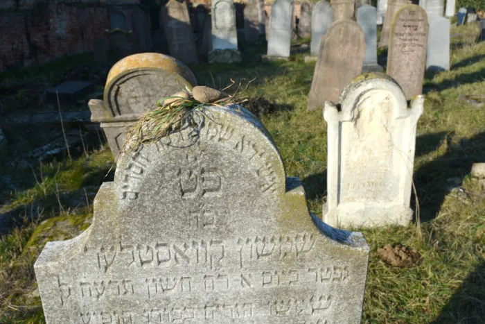 Master file0000062761