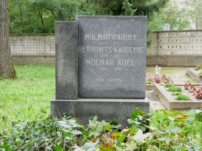 Master file0000071663