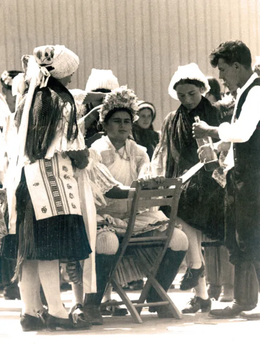 Master file0000039529