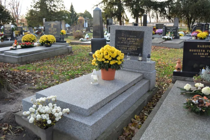 Master file0000071906