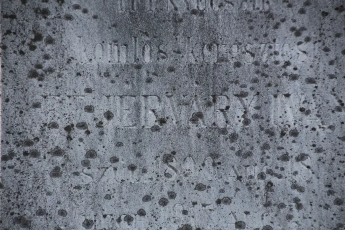 Master file0000077963