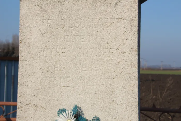 Master file0000079223