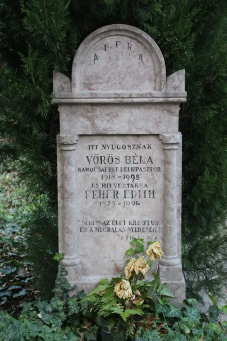 Master file0000078463