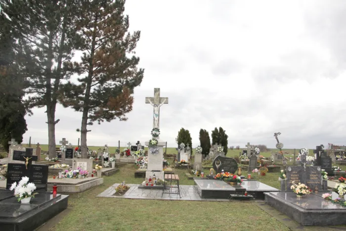 Master file0000070494