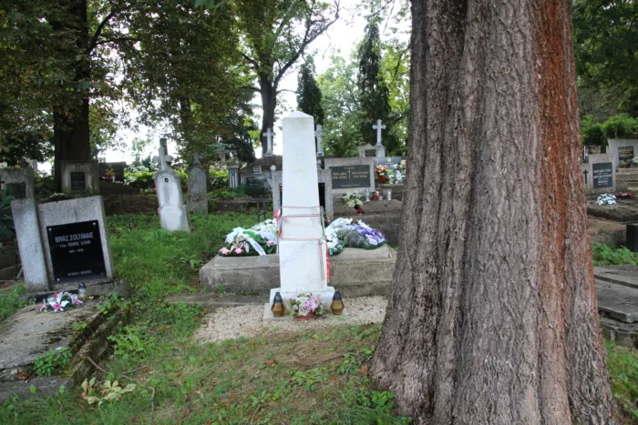 Master file0000079878