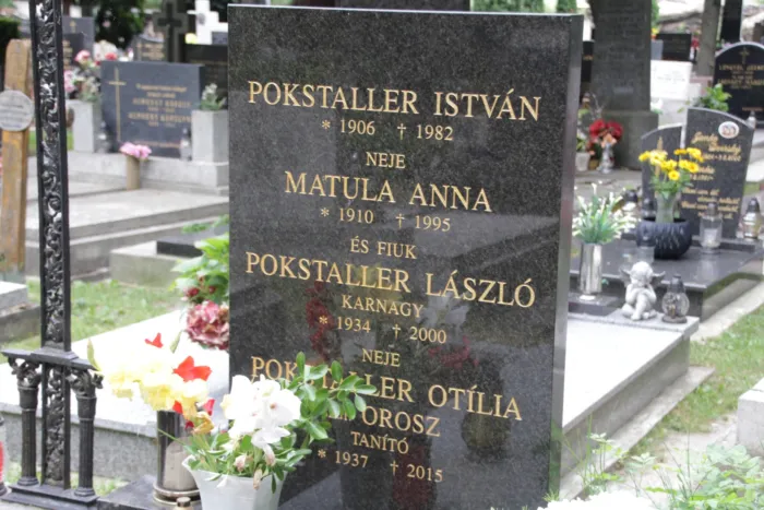 Master file0000076852