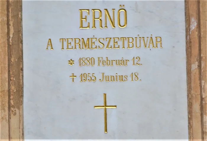 Master file0000068925